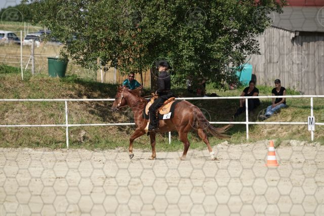 s_K3F07388.JPG